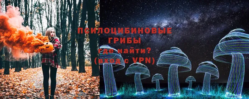 ссылка на мегу ССЫЛКА  Миллерово  Галлюциногенные грибы Psilocybine cubensis 